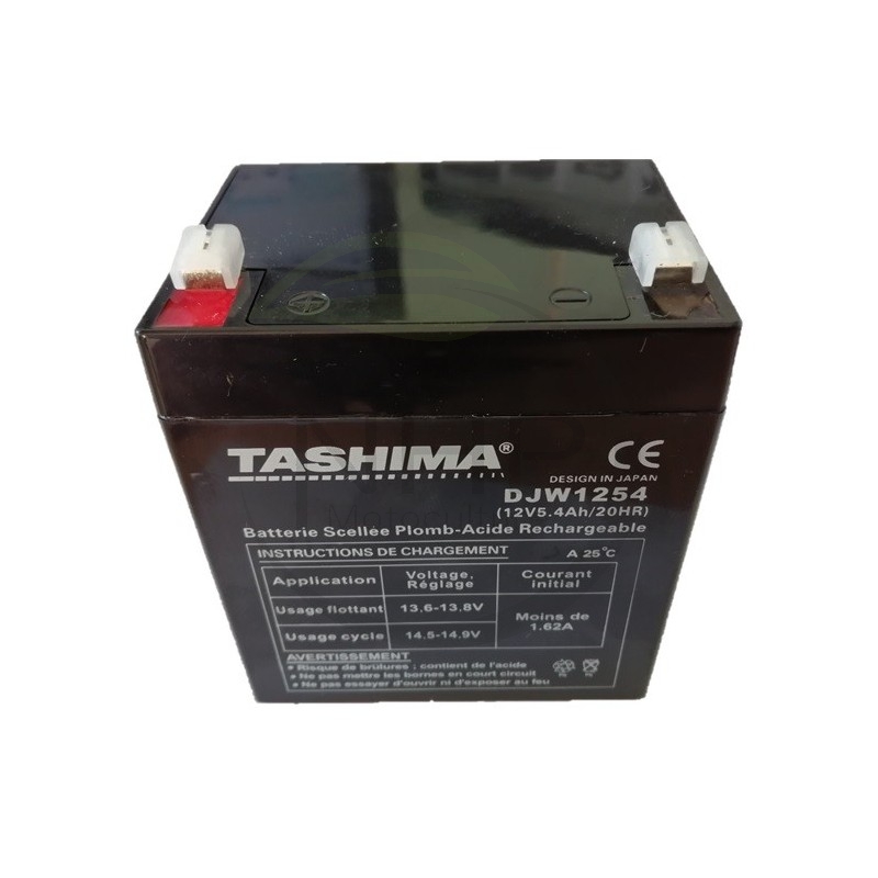 Batterie tondeuse 4.5 AH 12V, CASTEL GARDEN, STIGA, 18120052/0, 1181200520, 181200520, 1136-1320-01, 1136132001, DJW1254 
