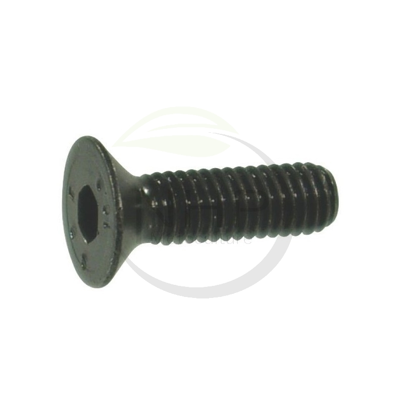 Boulon broyeur DELMORINO 40100020