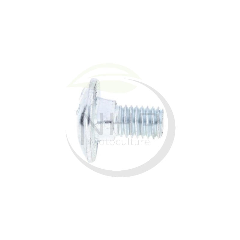 Vis à tête bombée M8X16