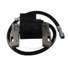 Bobine allumage 492341, 495859, 490586 Briggs et Stratton