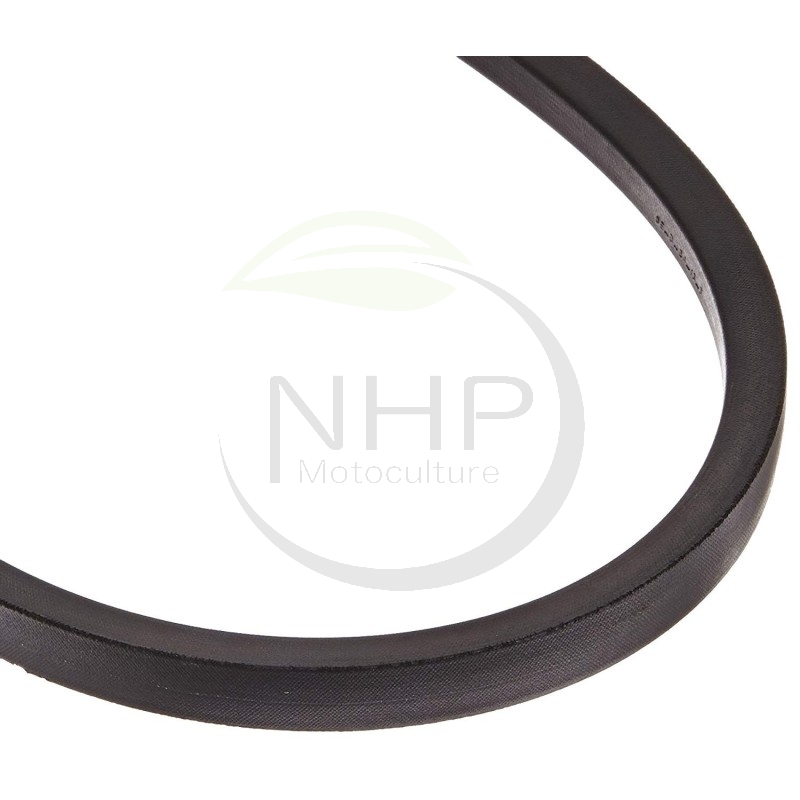 COURROIE TONDEUSE GIANNI FERRARI 00111980032