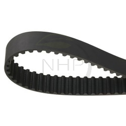 COURROIE CRANTEE GIANNI FERRARI 00111980013 - TOP GREEN