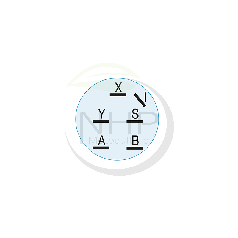 Contacteur à clé TORO, WHEEL HORSE, EXMARK 103-0206, 104-2541, 109-4736, 88-9830, 1030206, 1042541, 1094736, 889830, INDAK 3N463