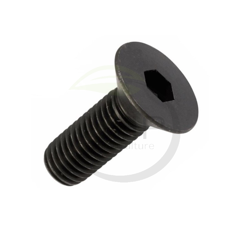 VIS COUTEAUX BROYEUR DELMORINO SCUTUM - PUGIO - 40100244