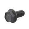 Vis fixation BRIGGS et STRATTON  94730, 94744, 94863, 690960, 691108, 692126, 697551, 555535, 555556, 555614