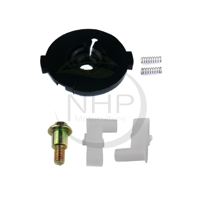 Kit cliquet lanceur BRIGGS et STRATTON 281503, 281505, 492333, 692299