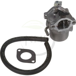 Carburateur Briggs et Stratton 590399, 794653, 593432, 794308
