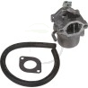 Carburateur Briggs et Stratton 590399, 794653, 593432, 794308