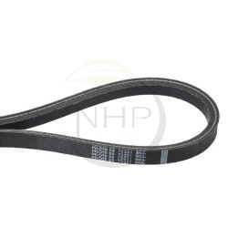 Courroie scarificateur GGP, CASTELGARDEN, STIGA, PILOTE 88 118801554/0, 18801554/0, PL72321