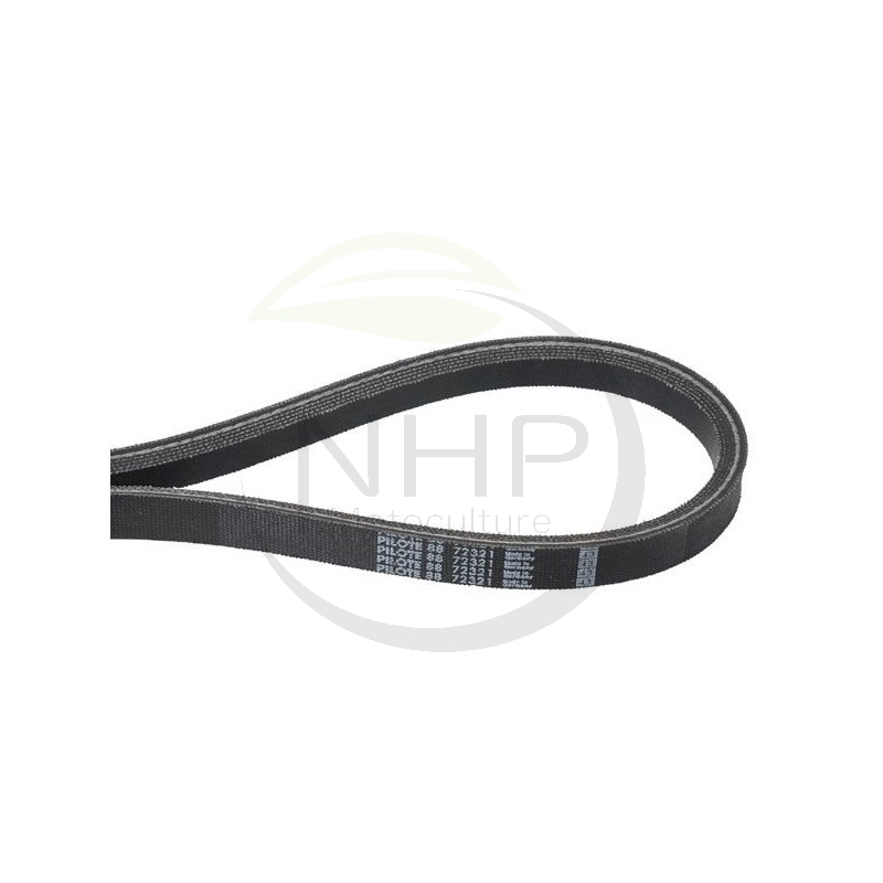 Courroie scarificateur GGP, CASTELGARDEN, STIGA, PILOTE 88 118801554/0, 18801554/0, PL72321