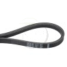 Courroie scarificateur GGP, CASTELGARDEN, STIGA, PILOTE 88 118801554/0, 18801554/0, PL72321