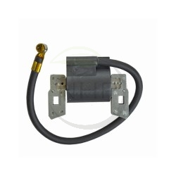 Bobine d'allumage moteur BRIGGS et STRATTON 397358, 298316, 395490, 395491, 697037, 555075, 555164