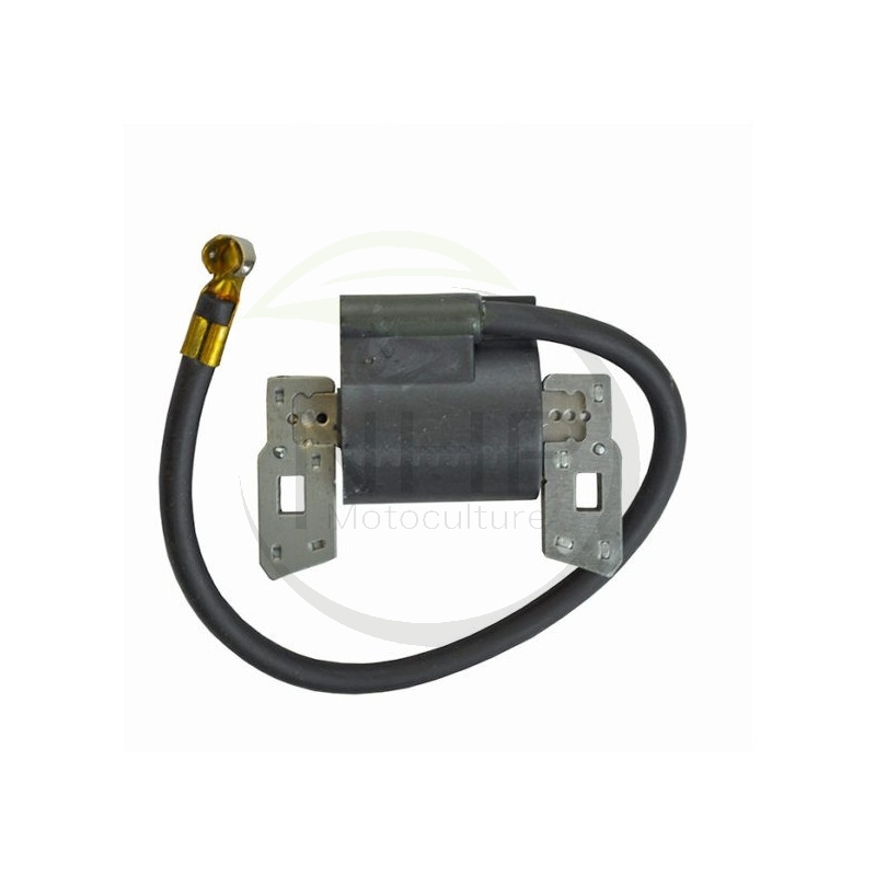 Bobine d'allumage moteur BRIGGS et STRATTON 397358, 298316, 395490, 395491, 697037, 555075, 555164