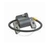Bobine d'allumage moteur BRIGGS et STRATTON 397358, 298316, 395490, 395491, 697037, 555075, 555164