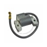Bobine d'allumage moteur BRIGGS et STRATTON 397358, 298316, 395490, 395491, 697037, 555075, 555164