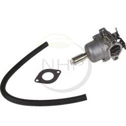 Carburateur BRIGGS ET STRATTON 590400, 796078