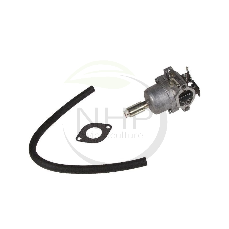 Carburateur BRIGGS ET STRATTON 590400, 796078