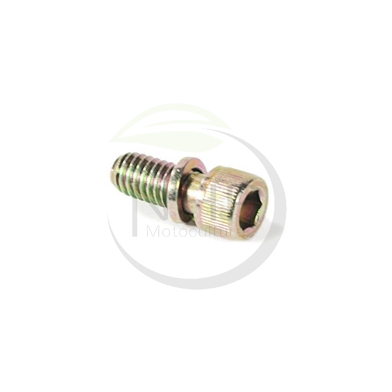 Vis échappement HUSQVARNA, JONSERED, MCCULLOCH, POULAN, PARTNER 532192334, 532 19 23-34, 192334, 871070512, 871 07 05-12