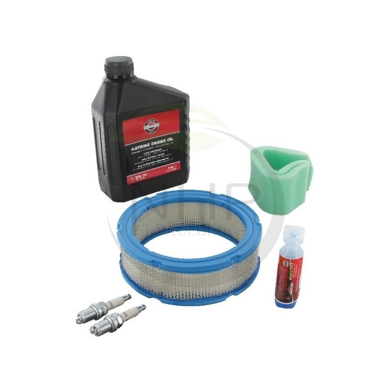 Kit entretien moteur Briggs et Stratton 992240, 992209 (huile, bougie, filtre...)