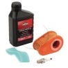 Kit entretien Moteur Briggs & Stratton Pour 700 Series, 750 Series, 750 Series I/C, DOV, DOV I/C 