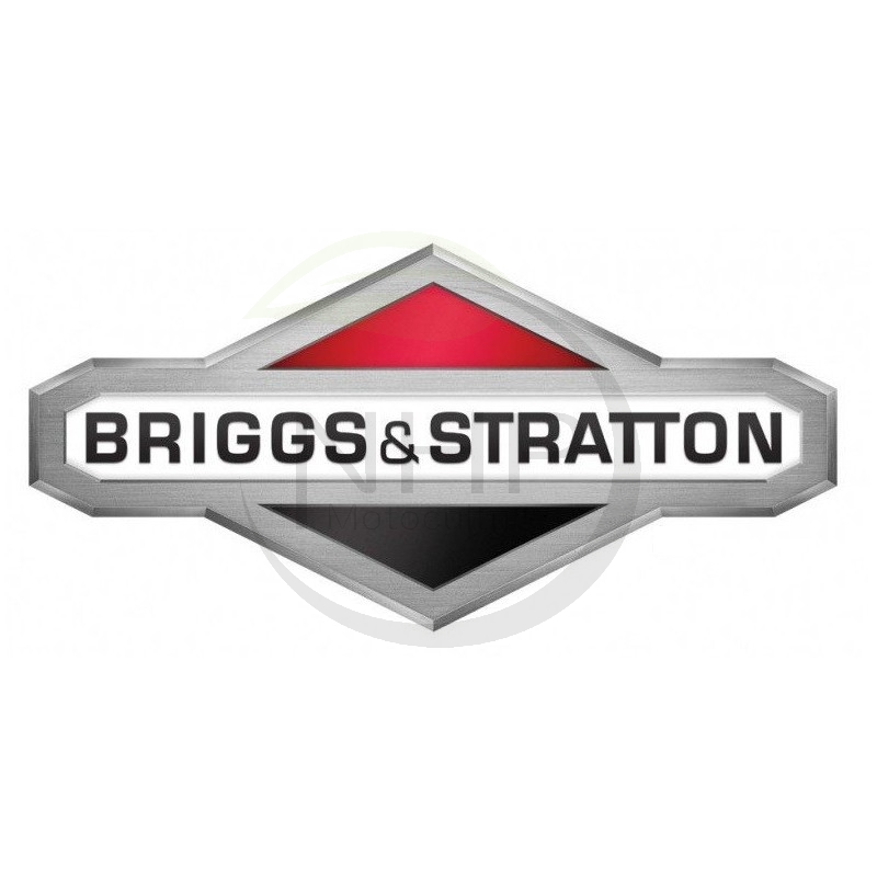 MOTEUR COMPLET BRIGGS ET STRATTON 135292-0169-02