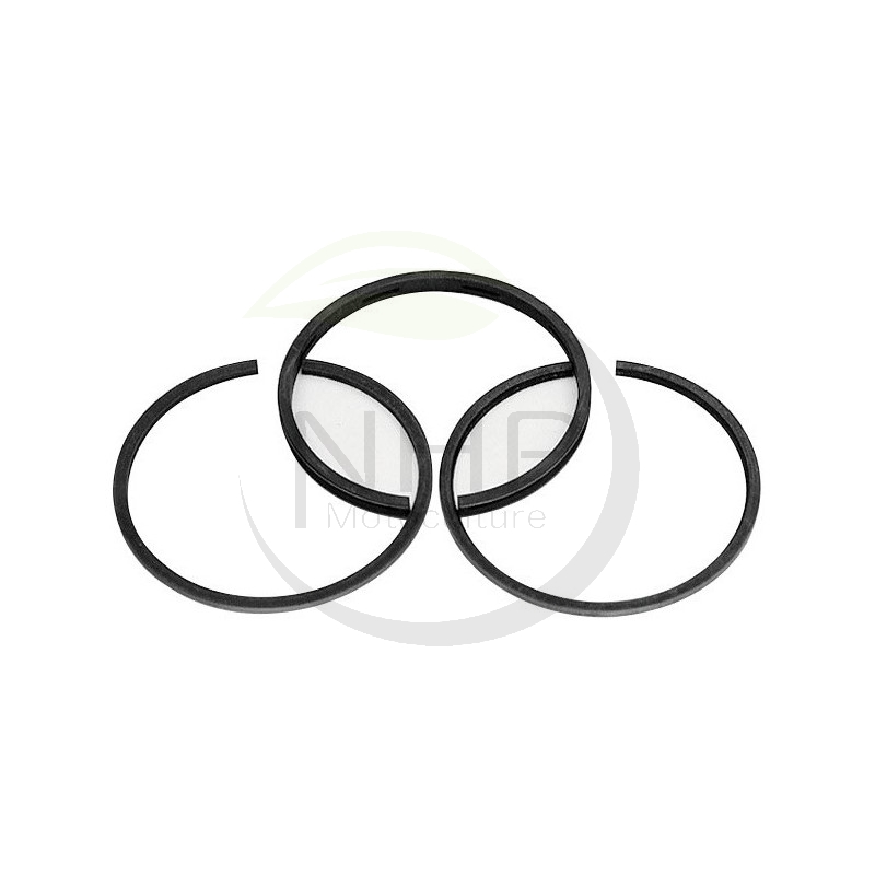 KIT SEGMENTS MOTEUR BRIGGS ET STRATTON 792306