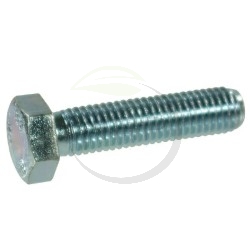 Boulon DELMORINO 40100036, M20X55