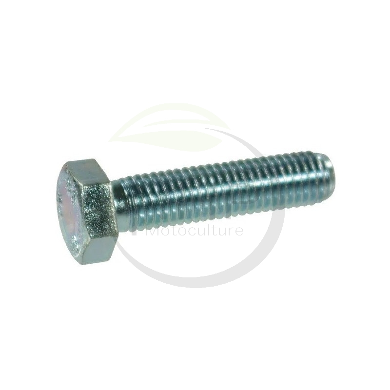 Boulon DELMORINO 40100036, M20X55