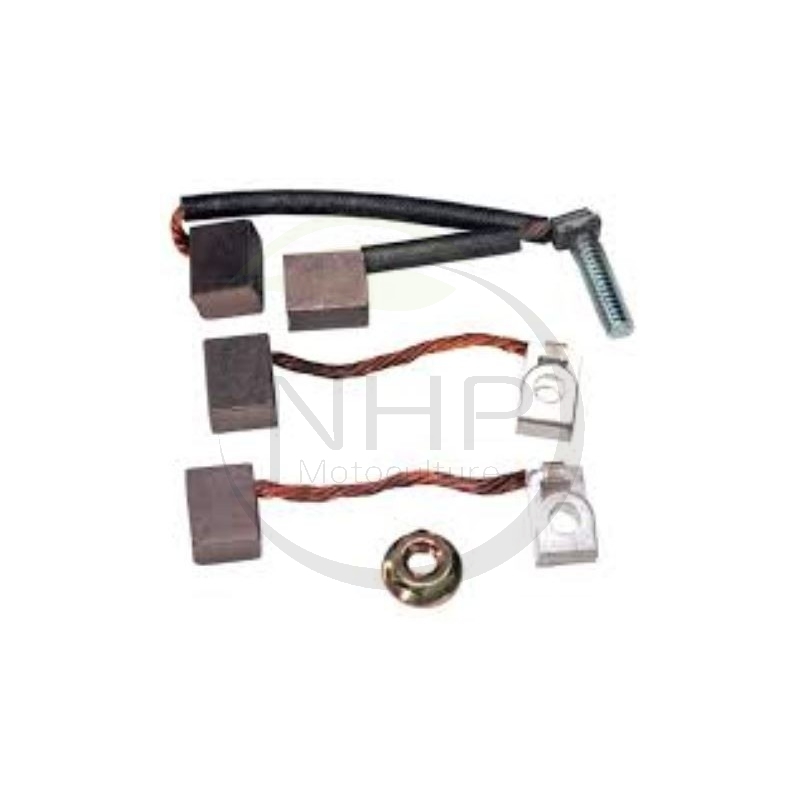 jeu-de-charbon-demarreur-briggs-et-stratton-490311