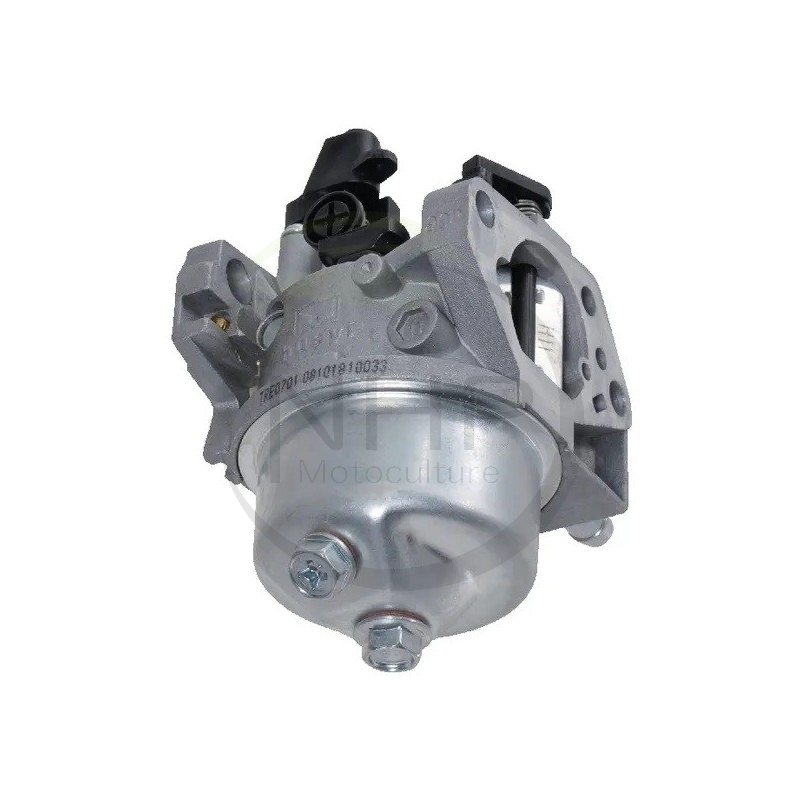 Carburateur moteur GGP, CASTELGARDEN, STIGA, ALPINA, MOUNTFIELD 118550375/1, 118550375/0, 118550204/0