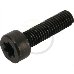 Vis lamier taille-haie GGP, CASTELGARDEN, STIGA, ALPINA, MOUNTFIELD 123878081/0, 1238780810