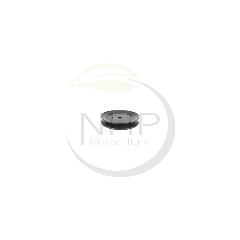 Poulie de palier AYP 198145, husqvarna 532198145