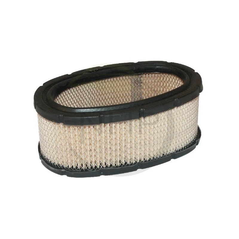 Filtre à air moteur Briggs et Stratton, 393406