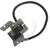 BOBINE ALLUMAGE BRIGGS ET STRATTON 793281, 298502, 395488, 297307, 397316, 793352, 398593, 395489, 496914, 799471, 697036