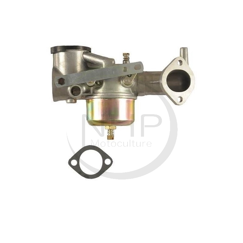Carburateur moteur BRIGGS ET STRATTON 491031, 490499, 491026, 281707