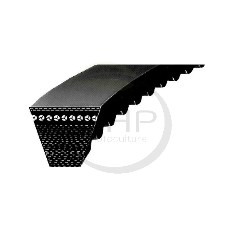 COURROIE TRAPEZOIDALE CRANTEE AVX 10 785 - AVX10785 - 785 MM EXTERIEUR