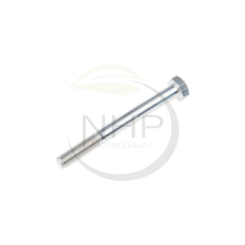 Boulon acier M6x60, GGP, CASTELGARDEN, STIGA, ALPINA, MOUNTFIELD 2112100