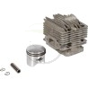 ENS. CYLINDRE-PISTON - 6981003 - GGP - CASTELGARDEN - STIGA
