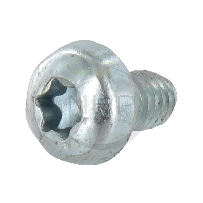 VIS M6X10 - 12735661/0 - 112735661/0 - GGP - CASTELGARDEN - STIGA