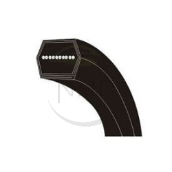 COURROIE DE COUPE TONDEUSE VIKING MT6127.OKL - MT6127.OZL - 6170 704 2115 - 6170 704 2116 - 61707042115 - 61707042116