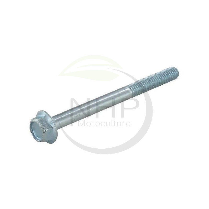 Vis filtre à air tondeuse GGP - CASTELGARDEN - STIGA SV150 - 1136-1651-01 - 118550010/0