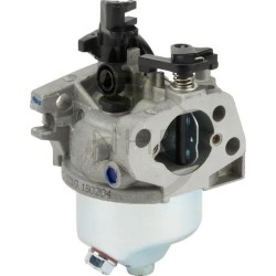 Carburateur GGP, CASTELGARDEN, STIGA, ALPINA, MOUNTFIELD 118550753/0