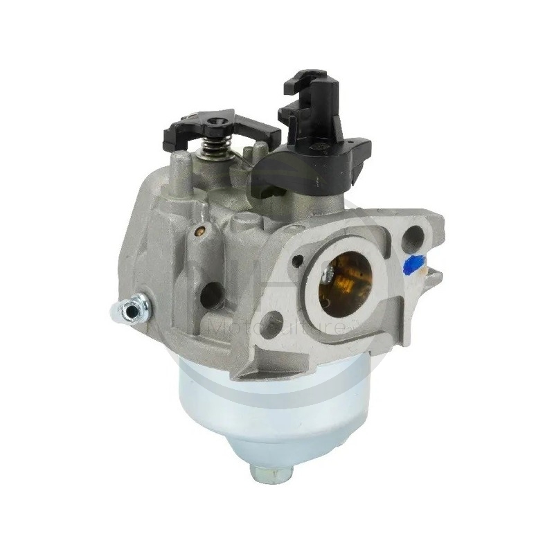 Carburateur GGP, CASTELGARDEN, STIGA, ALPINA, MOUNTFIELD 118550753/0