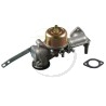 Carburateur BRIGGS et STRATTON 491590, 390811, 390417, 392152, 299751
