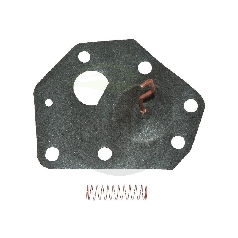 Membrane BRIGGS et STRATTON 299637, 496418