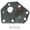 Membrane BRIGGS et STRATTON 299637, 496418