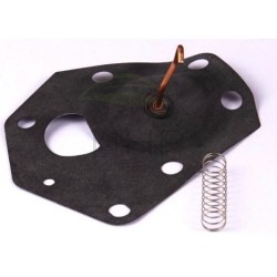 Membrane BRIGGS et STRATTON 299637, 496418