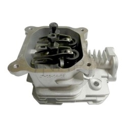 Ensemble culasse-cylindre tondeuse GGP, CASTELGARDEN, STIGA, ALPINA, MOUNTFIELD 18550099/0, 118550099/0