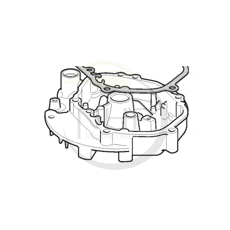 Carter moteur GGP, CASTELGARDEN, STIGA, ALPINA, MOUNTFIELD 18550113/0, 118550113/0