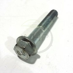 Vis de culasse GGP, CASTELGARDEN, STIGA, ALPINA, MOUNTFIELD 18550128/0, 118550128/0